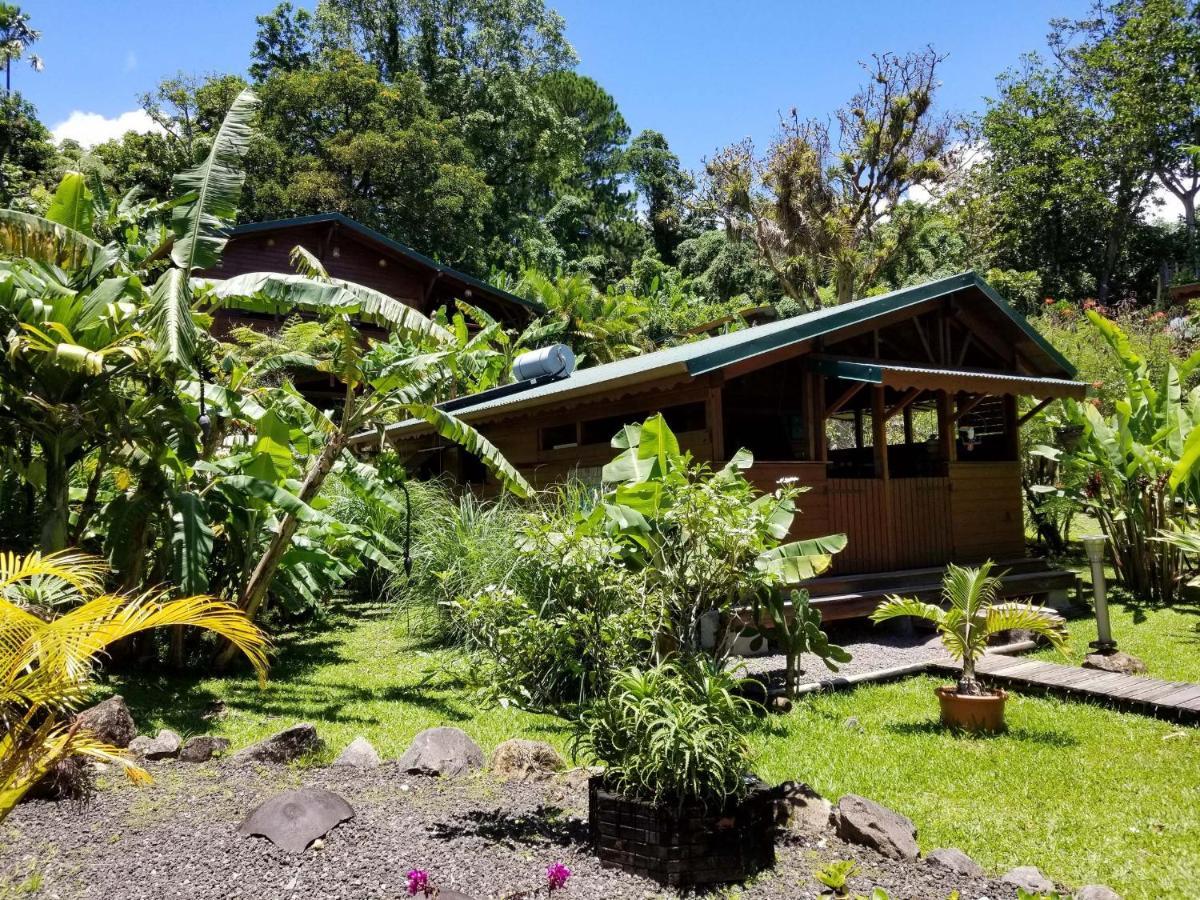 Les Bananes Vertes Ecolodges Saint-Claude Exterior foto