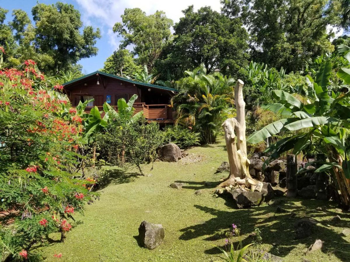 Les Bananes Vertes Ecolodges Saint-Claude Exterior foto